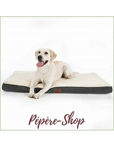 Tapis grand chien orthopédique et déhoussable hantent personnes