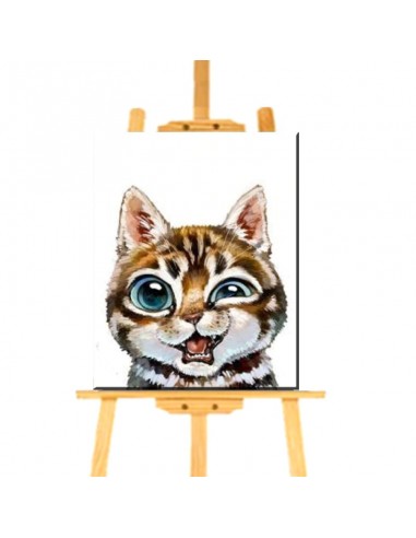 Peinture par Numéro Chat qui grimace commande en ligne